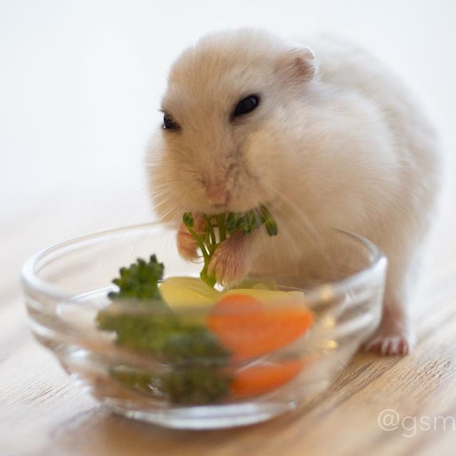 �ʐ^�񋟁F�ς邳��