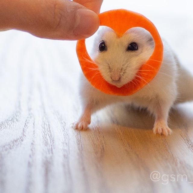 �ʐ^�񋟁F�ς邳��