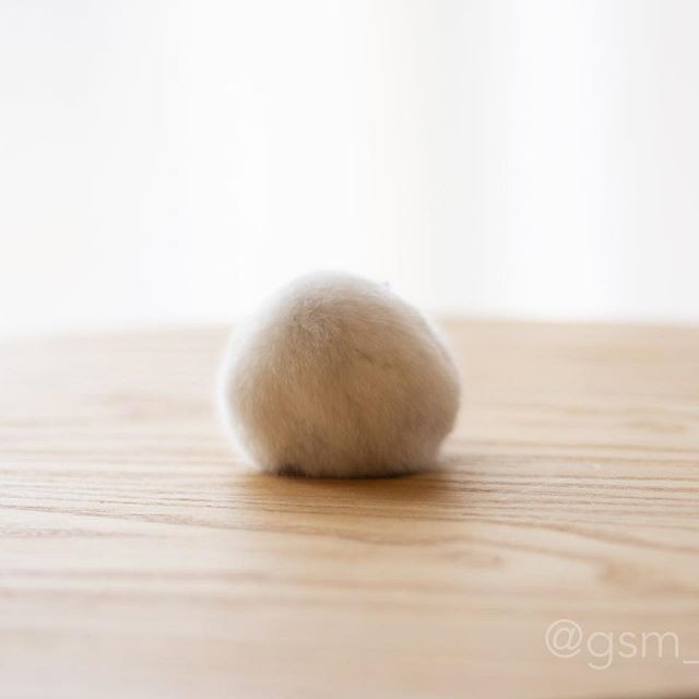 �ʐ^�񋟁F�ς邳��