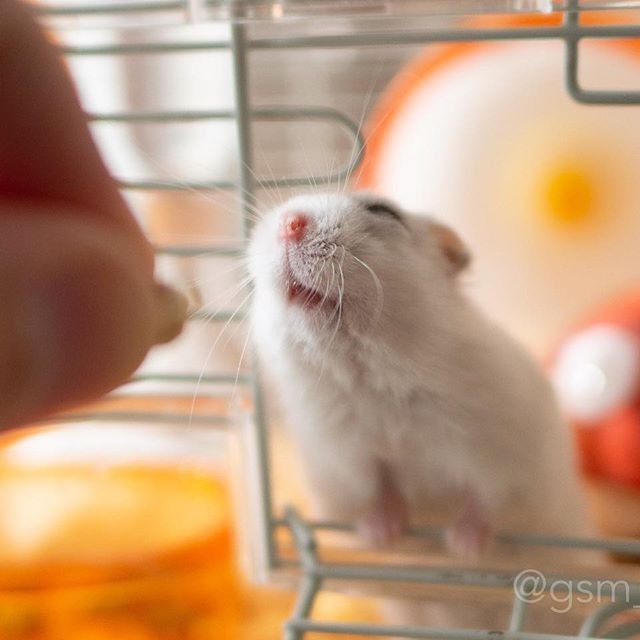 �ʐ^�񋟁F�ς邳��