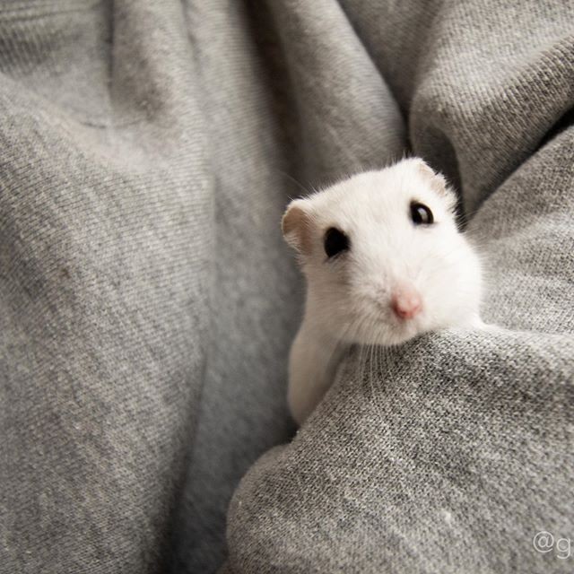 �ʐ^�񋟁F�ς邳��