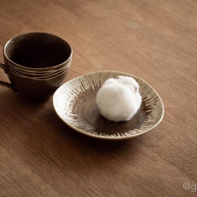 �ʐ^�񋟁F�ς邳��