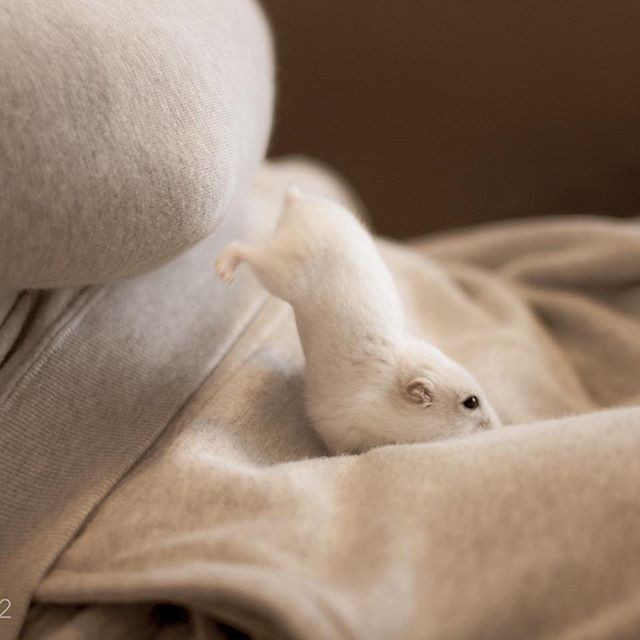 �ʐ^�񋟁F�ς邳��