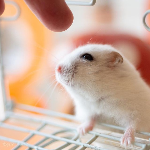 �ʐ^�񋟁F�ς邳��