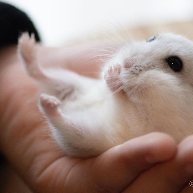 �ʐ^�񋟁F�ς邳��