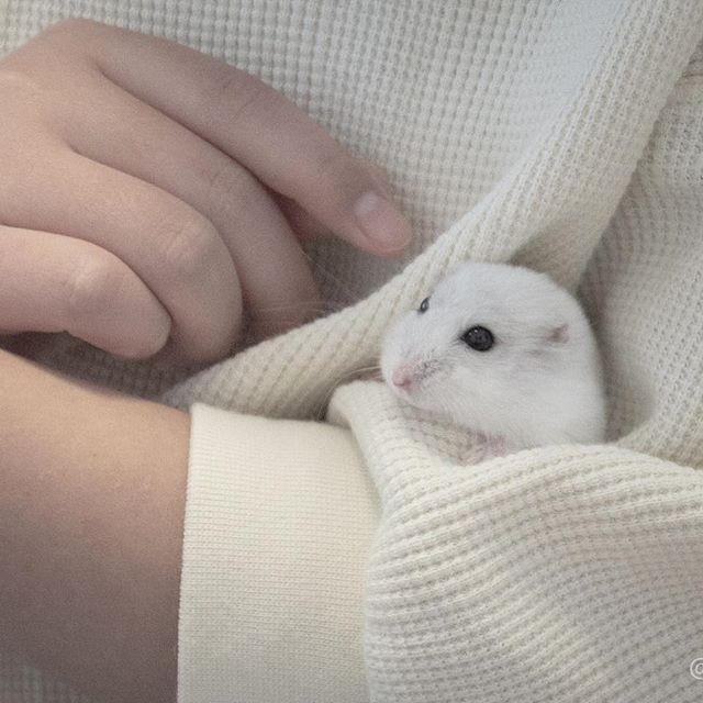 �ʐ^�񋟁F�ς邳��