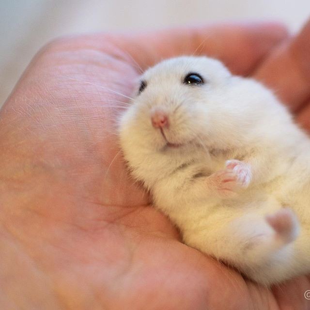 �ʐ^�񋟁F�ς邳��