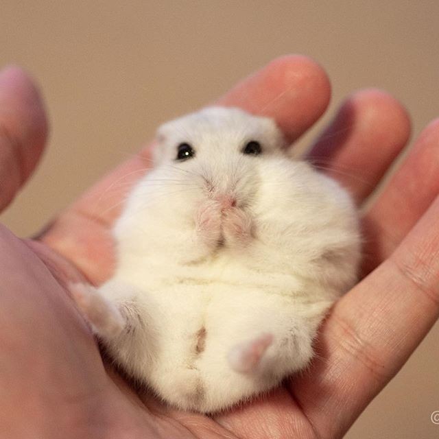 �ʐ^�񋟁F�ς邳��