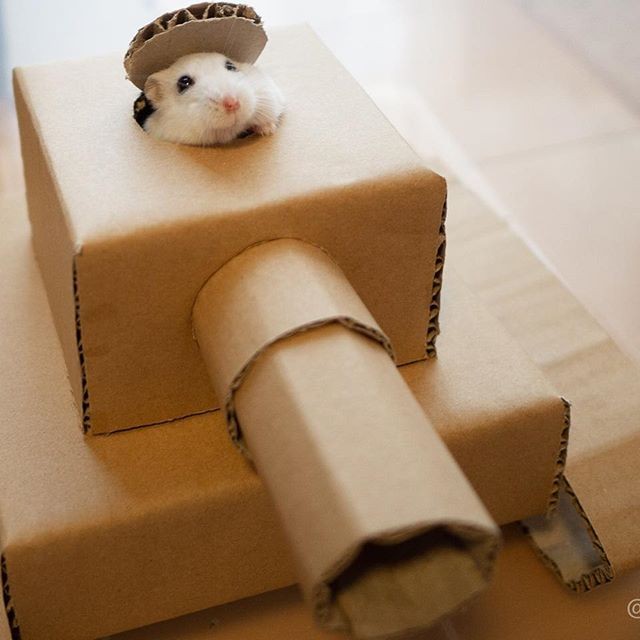 �ʐ^�񋟁F�ς邳��