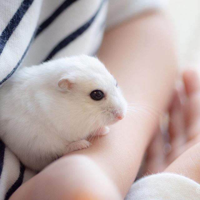 �ʐ^�񋟁F�ς邳��