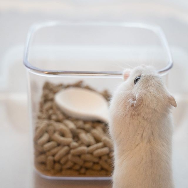 �ʐ^�񋟁F�ς邳��