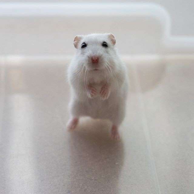 �ʐ^�񋟁F�ς邳��