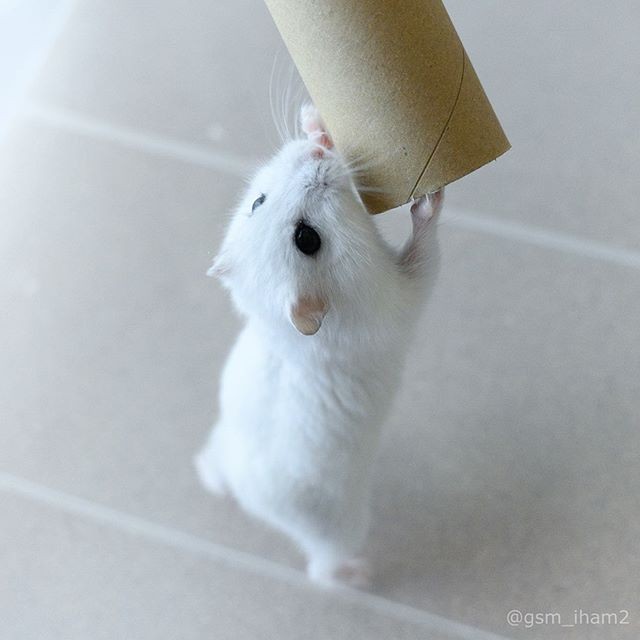 �ʐ^�񋟁F�ς邳��