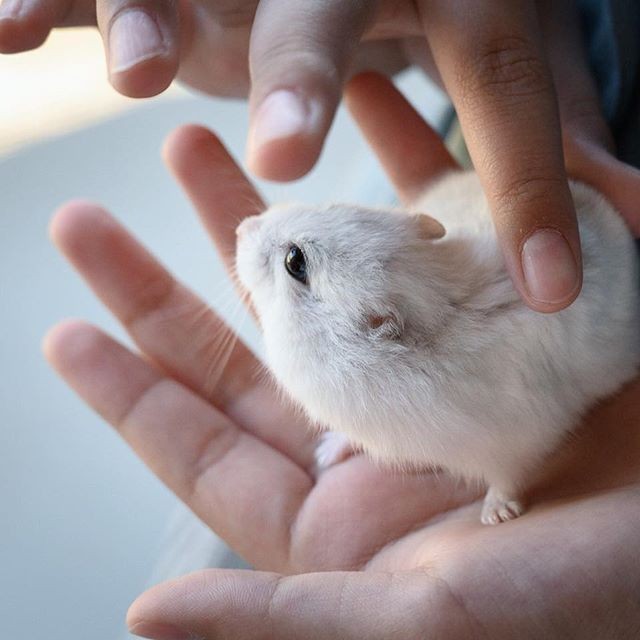 �ʐ^�񋟁F�ς邳��