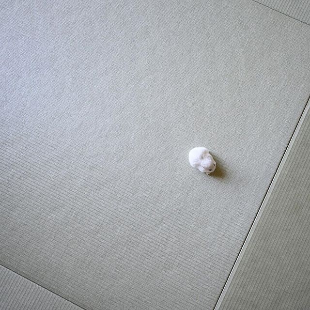 �ʐ^�񋟁F�ς邳��