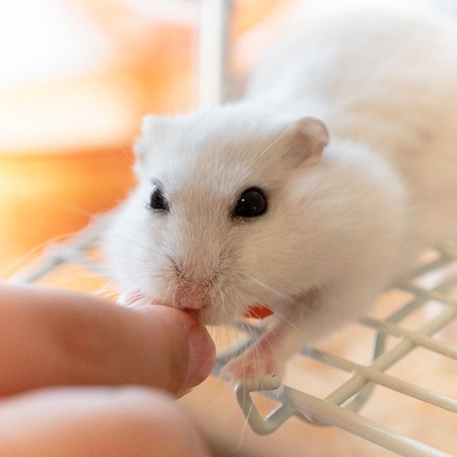 �ʐ^�񋟁F�ς邳��