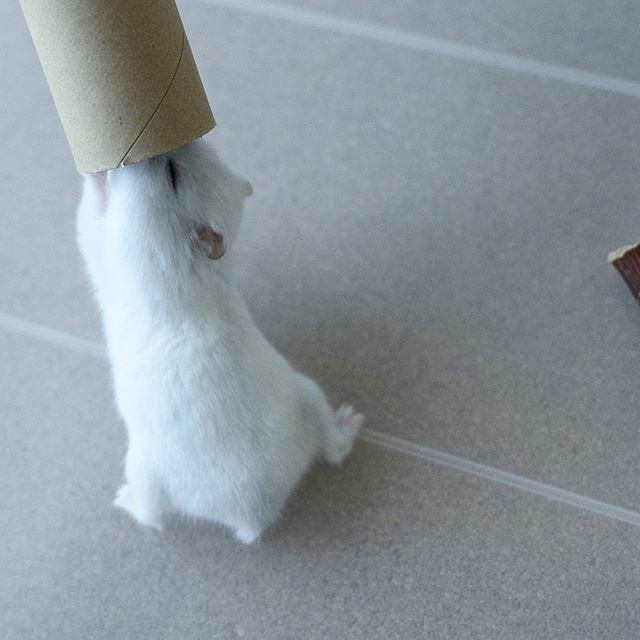 �ʐ^�񋟁F�ς邳��