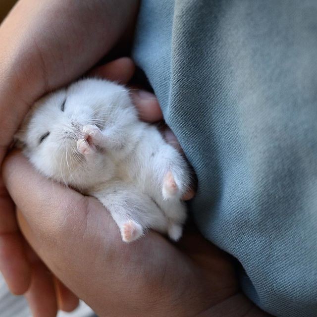 �ʐ^�񋟁F�ς邳��