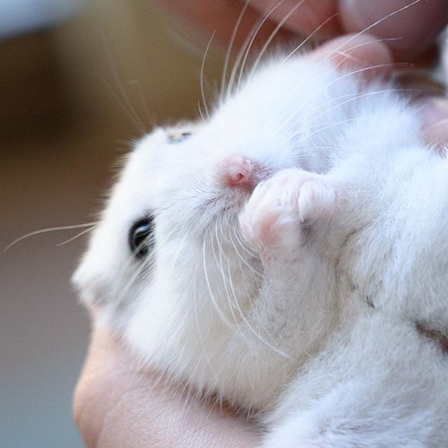 �ʐ^�񋟁F�ς邳��