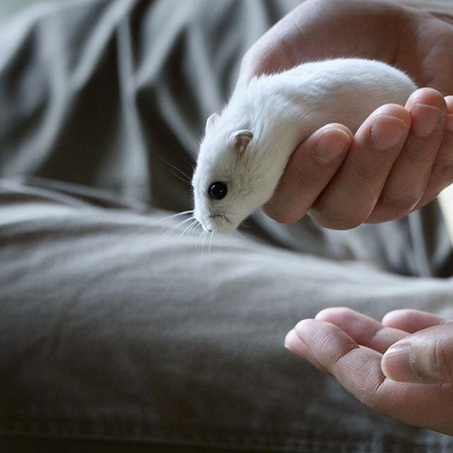 �ʐ^�񋟁F�ς邳��