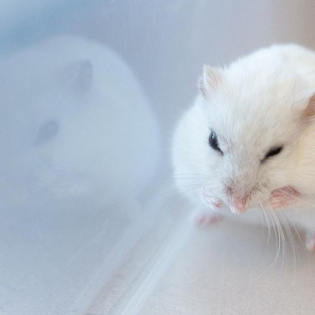 �ʐ^�񋟁F�ς邳��