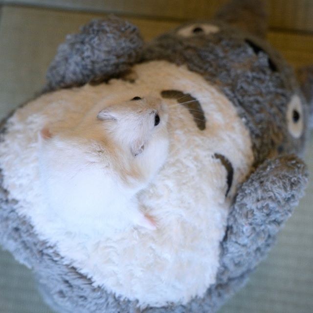 �ʐ^�񋟁F�ς邳��