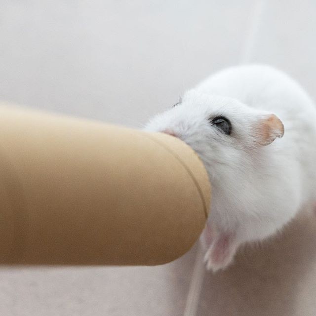 �ʐ^�񋟁F�ς邳��