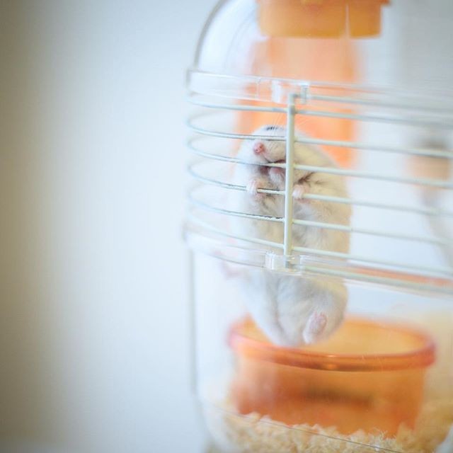 �ʐ^�񋟁F�ς邳��