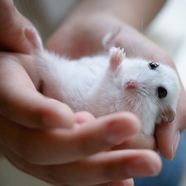 �ʐ^�񋟁F�ς邳��