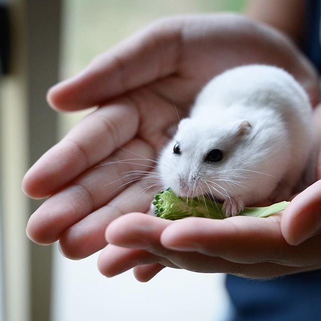 �ʐ^�񋟁F�ς邳��