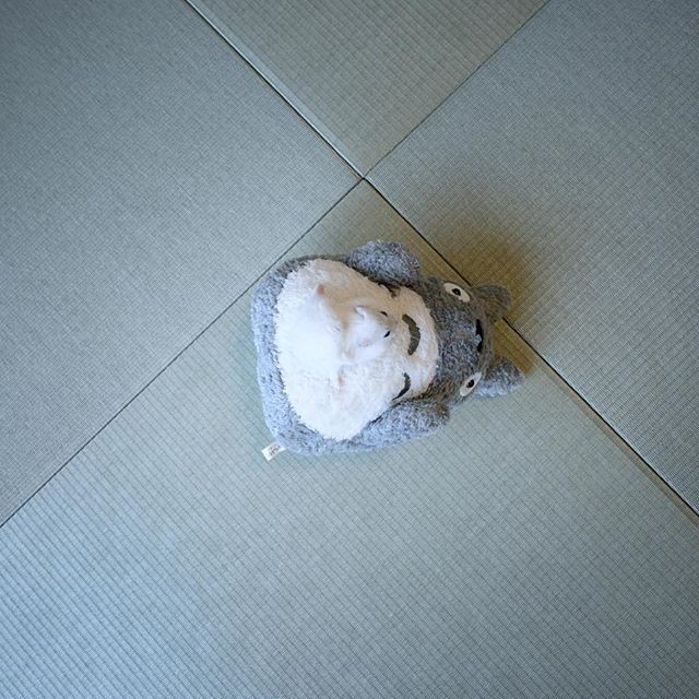 �ʐ^�񋟁F�ς邳��