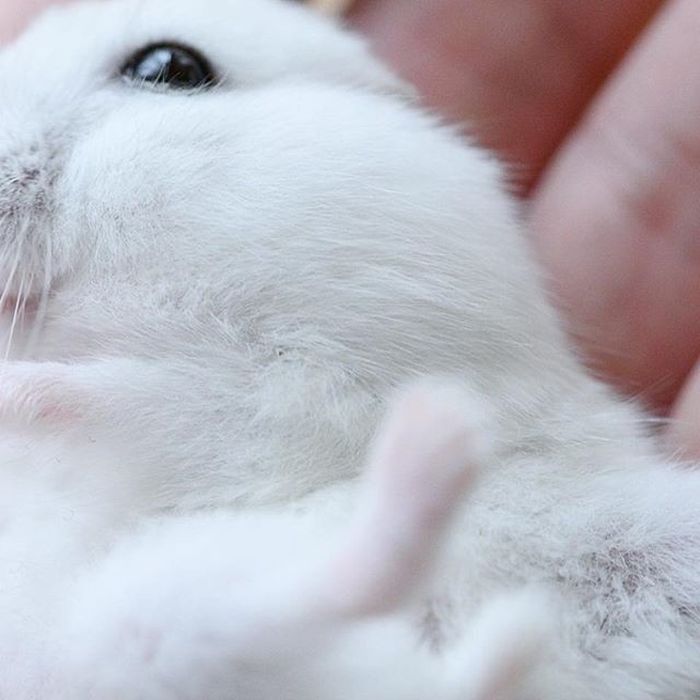 �ʐ^�񋟁F�ς邳��