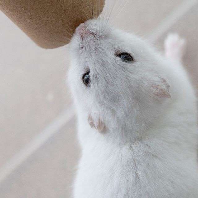 �ʐ^�񋟁F�ς邳��