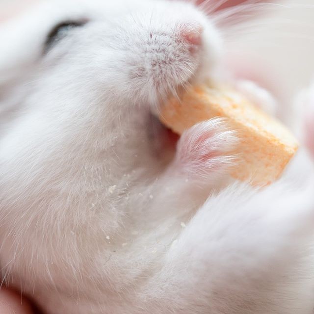 �ʐ^�񋟁F�ς邳��