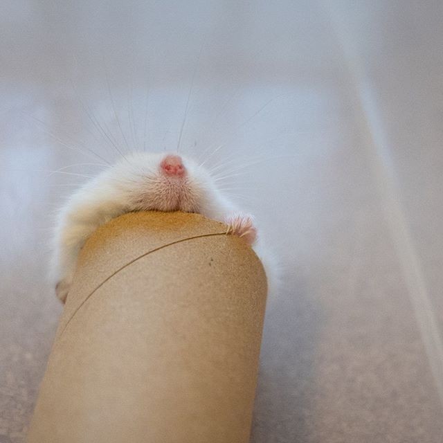 �ʐ^�񋟁F�ς邳��