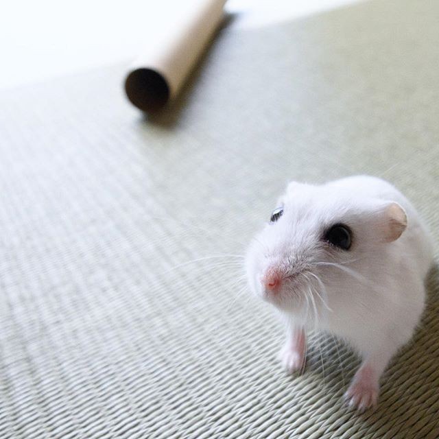 �ʐ^�񋟁F�ς邳��