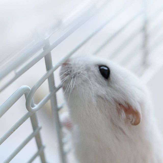 �ʐ^�񋟁F�ς邳��