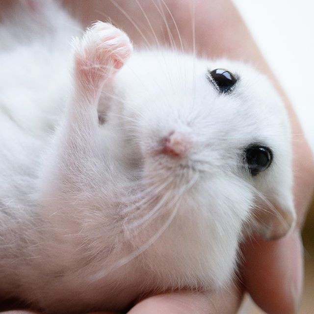 �ʐ^�񋟁F�ς邳��