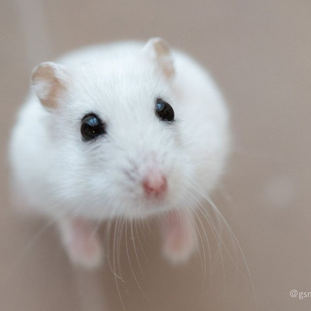 �ʐ^�񋟁F�ς邳��