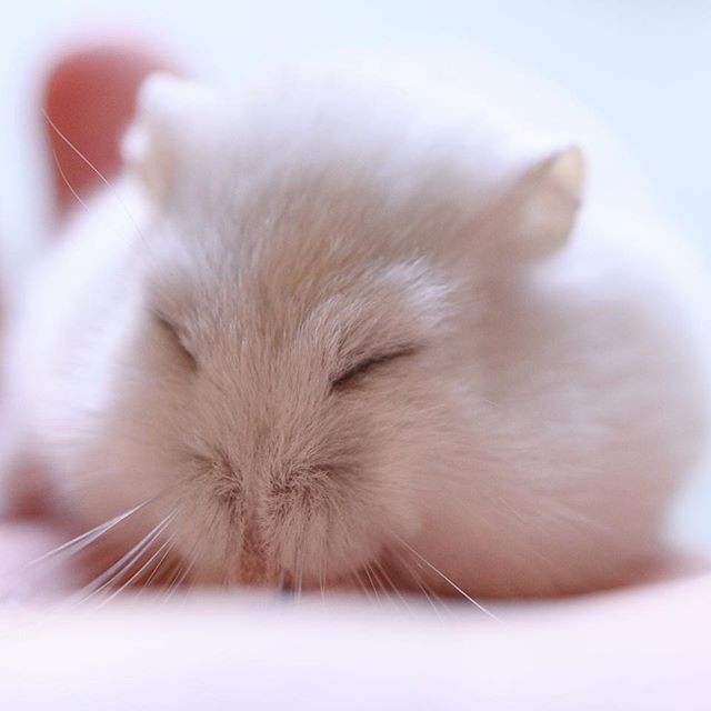 �ʐ^�񋟁F�ς邳��