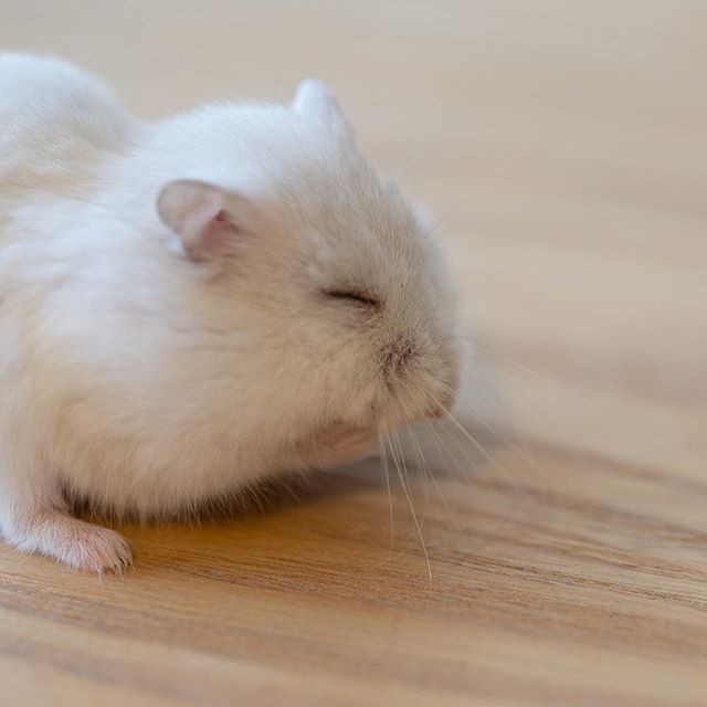 �ʐ^�񋟁F�ς邳��