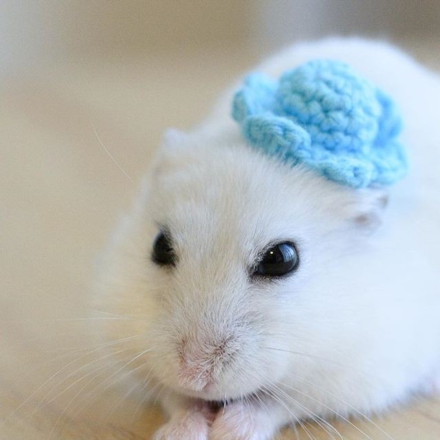 �ʐ^�񋟁F�ς邳��