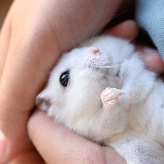 �ʐ^�񋟁F�ς邳��