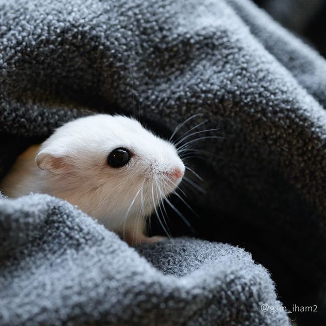 �ʐ^�񋟁F�ς邳��