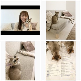 天気予報の女神・貴島明日香と”にゃんず”フォトギャラリー