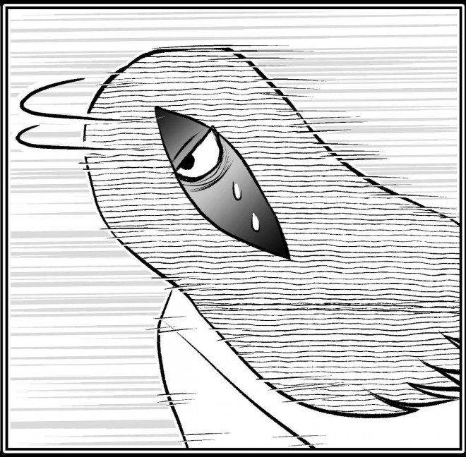 �����ގ�����b�y3�z�@�g�􂢂̃r�f�I�H��h��������s���Ƃ́c