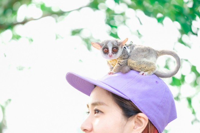 中にヒト入ってる フォロワー55万のおさるさんの 探し物 に反響 完全にコンタクト落とした時の私 2ページ目 Oricon News