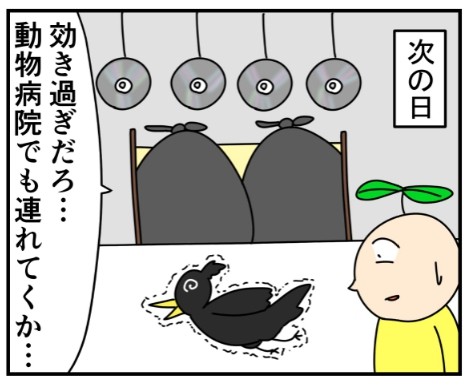 �摜�񋟁F���~�T�C������