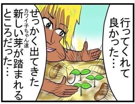 �摜�񋟁F���C���h�����L�[����