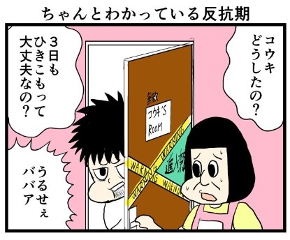 �摜�񋟁F���C���h�����L�[����